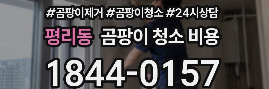 평리동 곰팡이 청소 비용