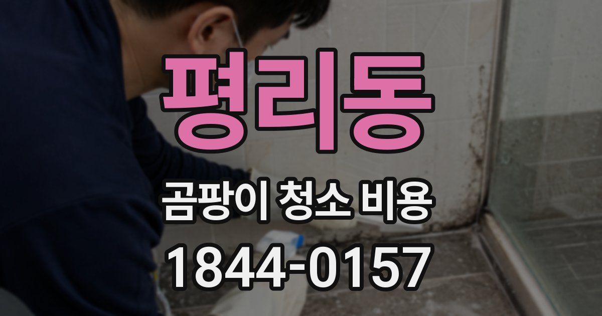평리동 곰팡이 청소 비용