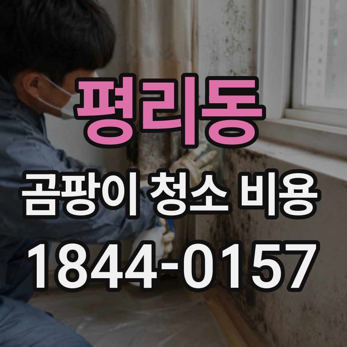 평리동 곰팡이 청소 비용