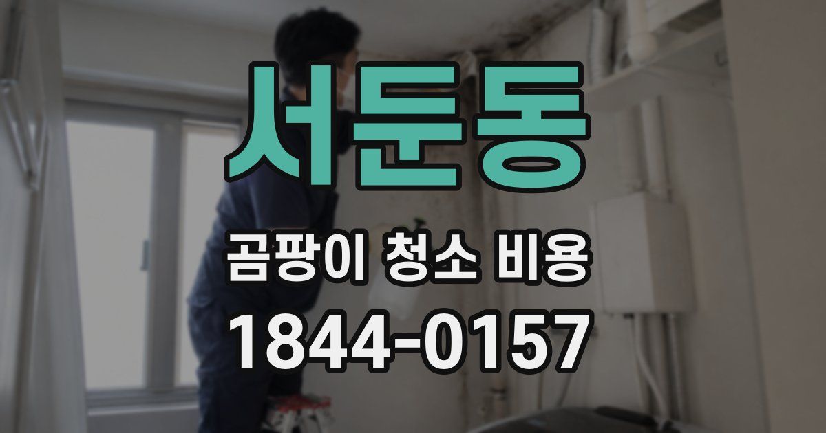서둔동 곰팡이 청소 비용