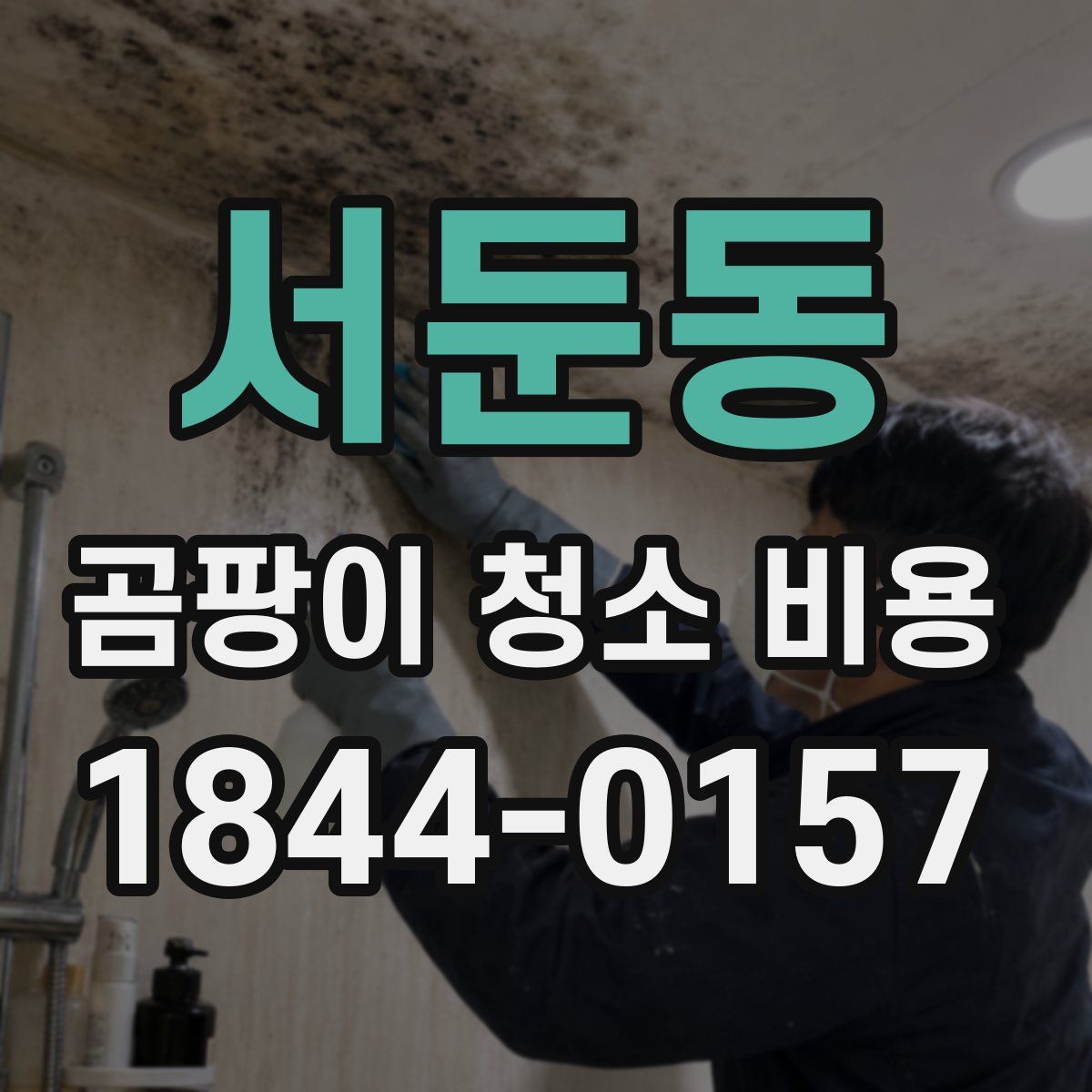 서둔동 곰팡이 청소 비용