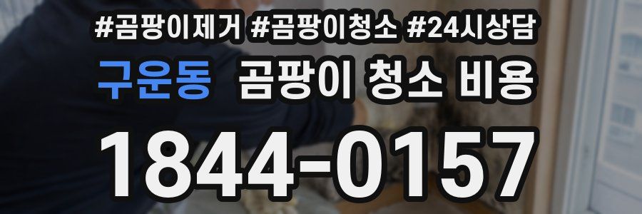 구운동 곰팡이 청소 비용