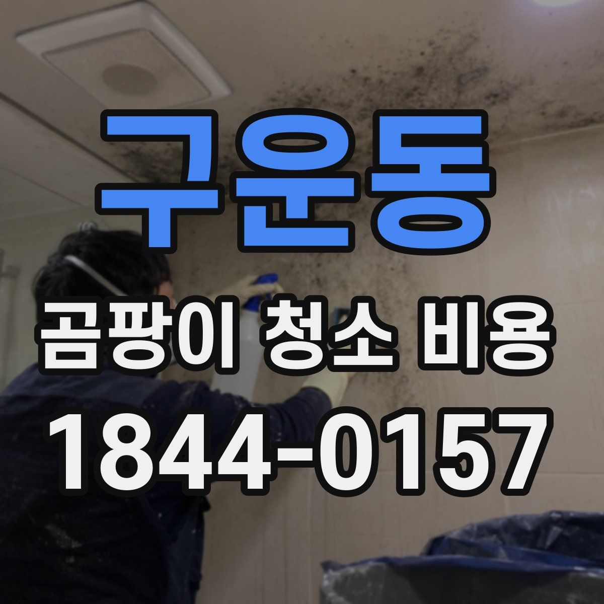 구운동 곰팡이 청소 비용
