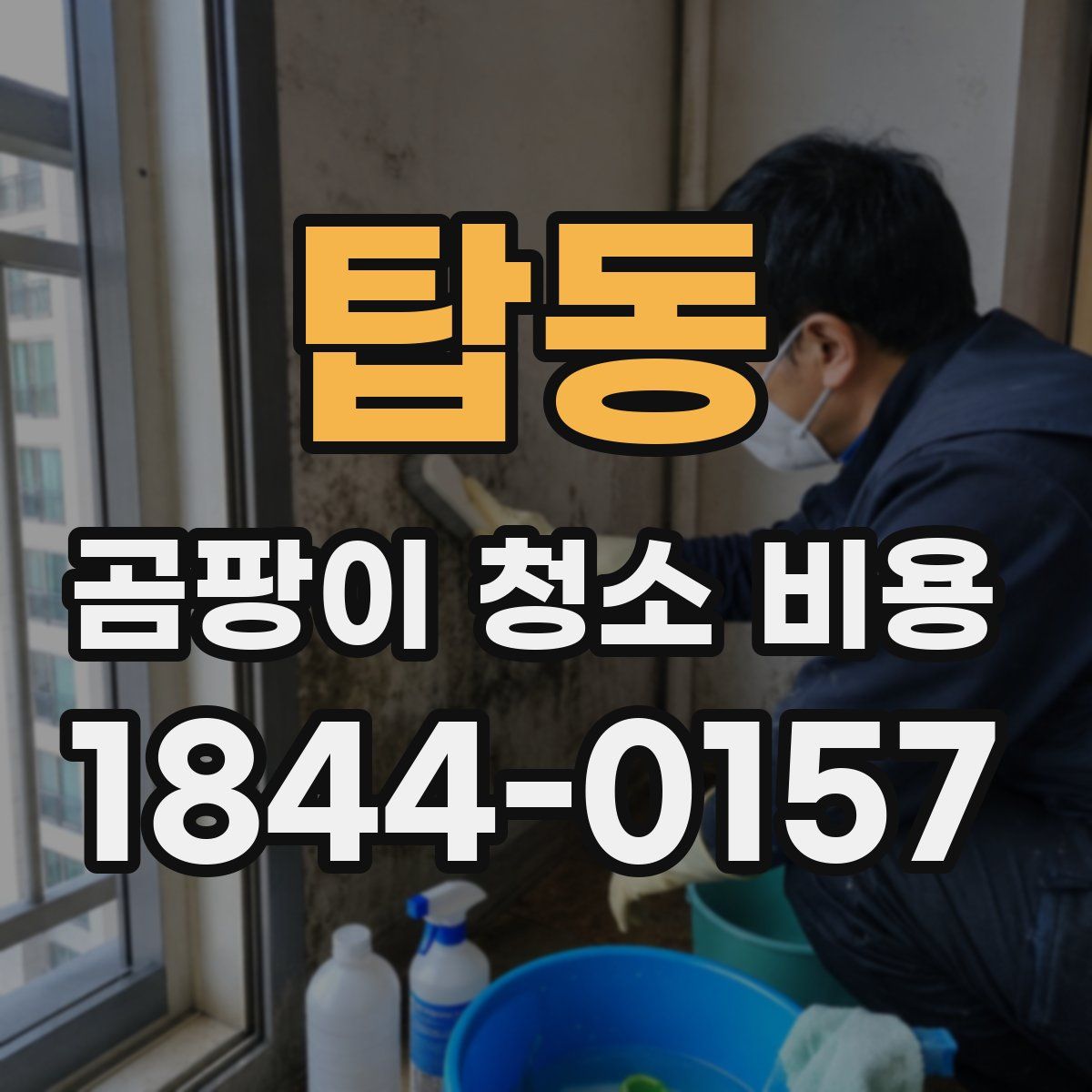 탑동 곰팡이 청소 비용