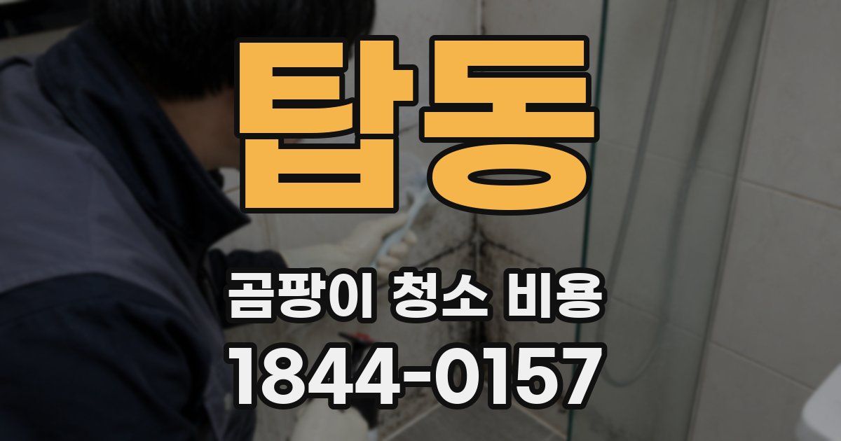 탑동 곰팡이 청소 비용