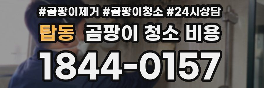 탑동 곰팡이 청소 비용