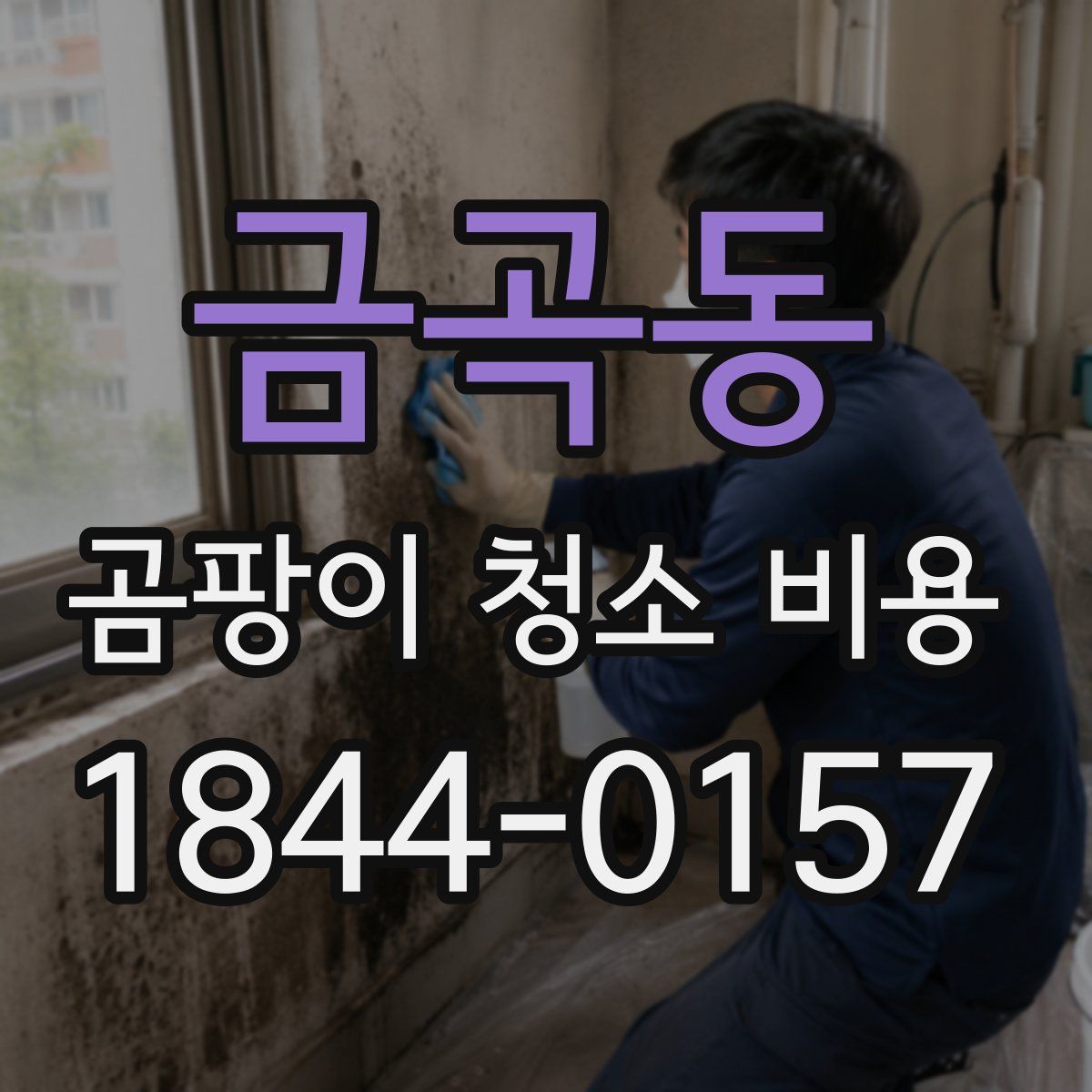 금곡동 곰팡이 청소 비용