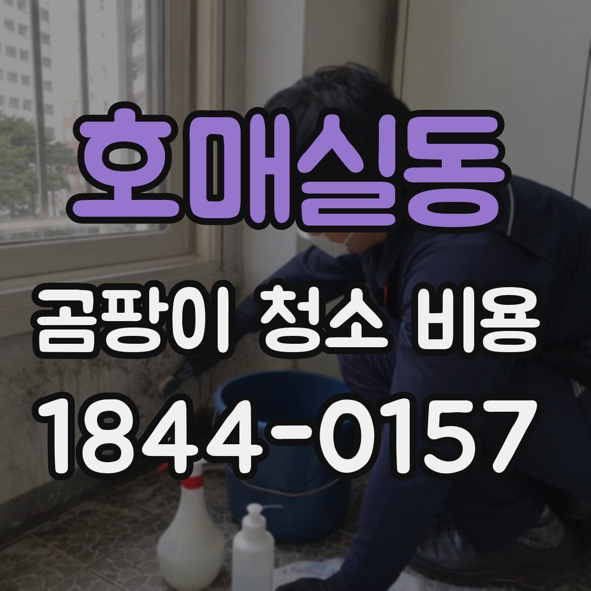 호매실동 곰팡이 청소 비용 원인 진단과 재발 방지 포인트