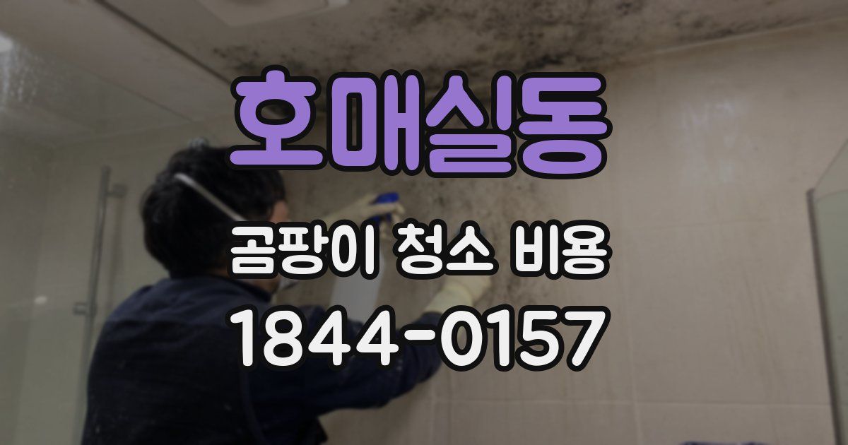 호매실동 곰팡이 청소 비용