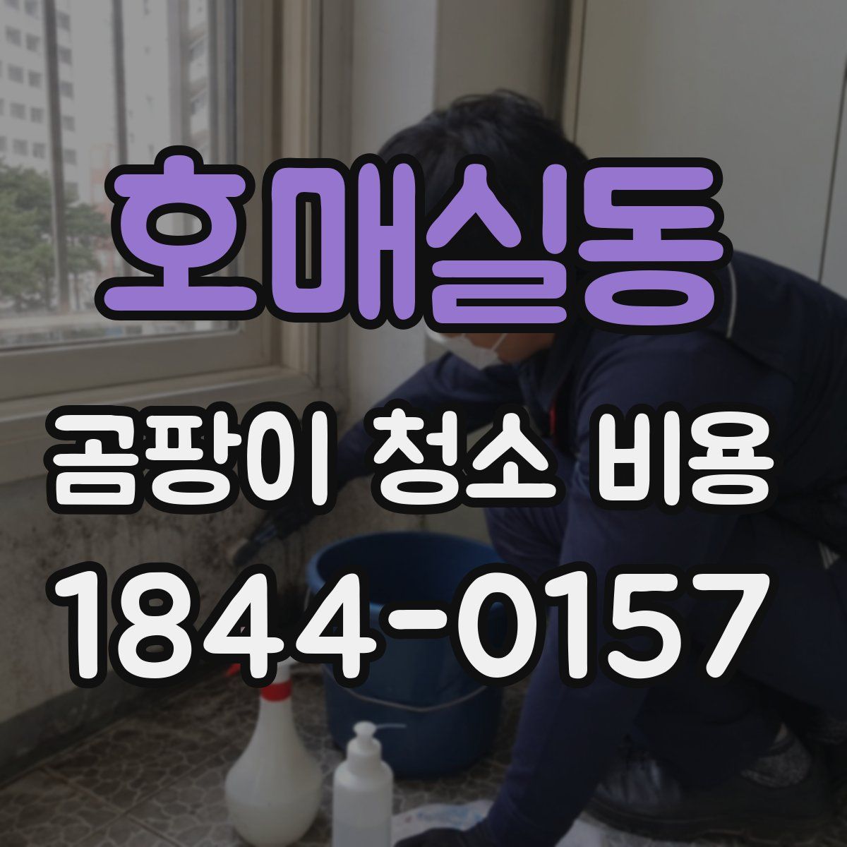 호매실동 곰팡이 청소 비용