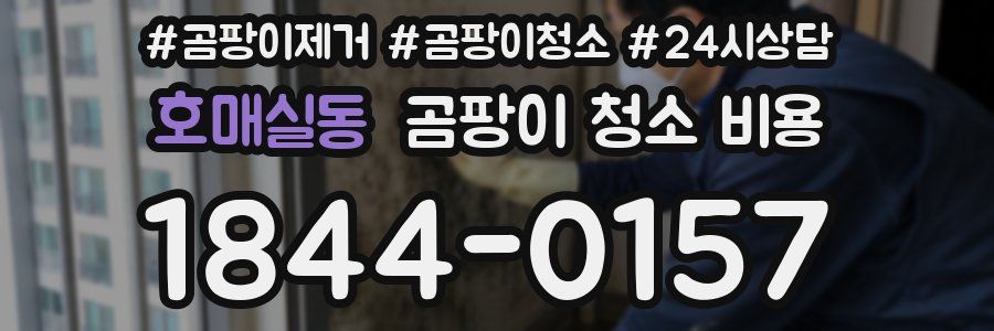 호매실동 곰팡이 청소 비용