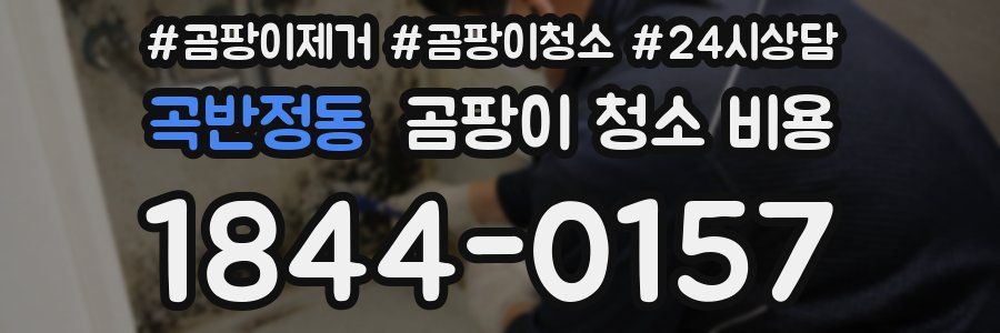 곡반정동 곰팡이 청소 비용