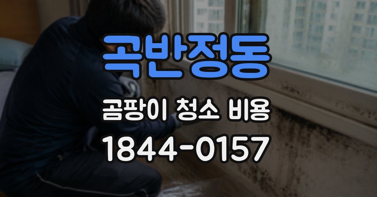 곡반정동 곰팡이 청소 비용