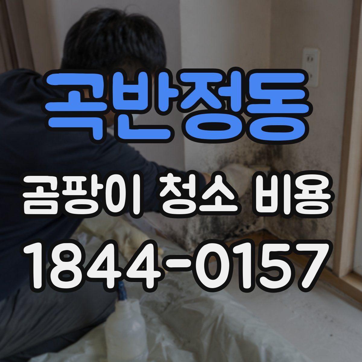 곡반정동 곰팡이 청소 비용