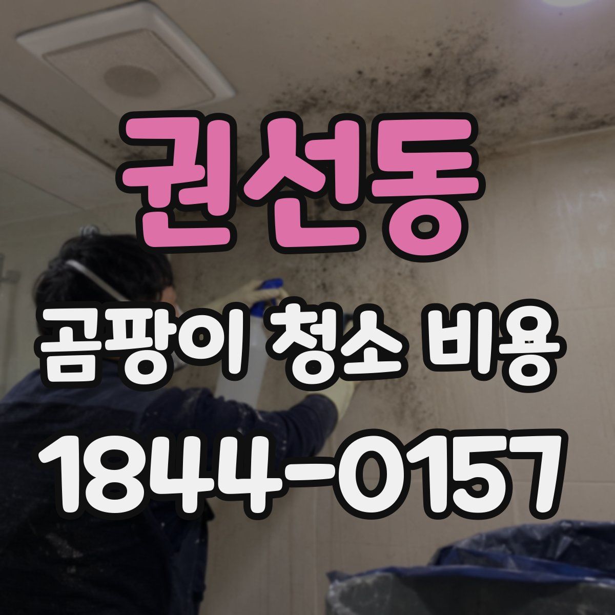 권선동 곰팡이 청소 비용