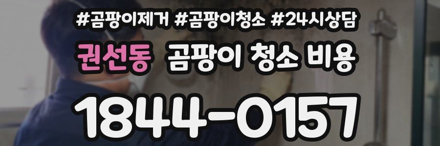 권선동 곰팡이 청소 비용