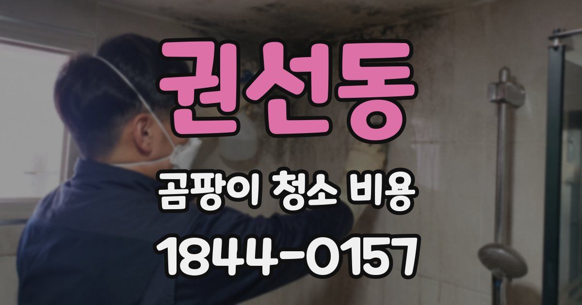 권선동 곰팡이 청소 비용