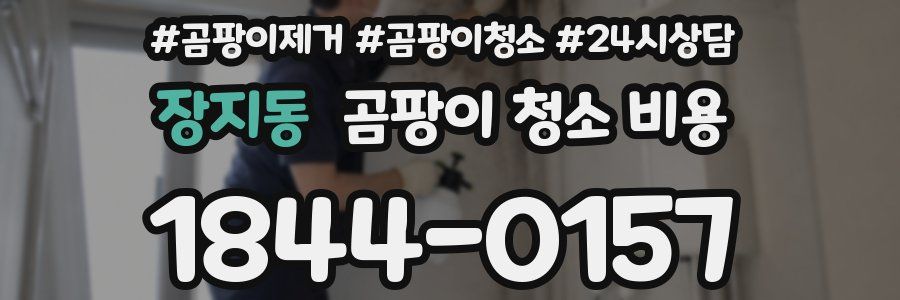 장지동 곰팡이 청소 비용