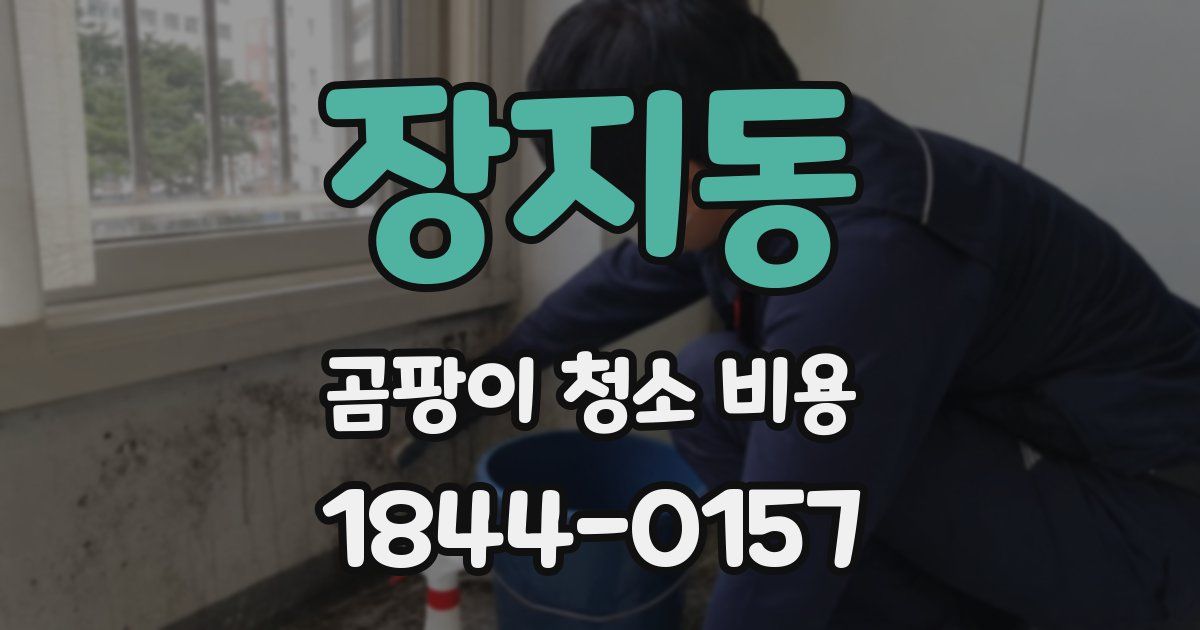장지동 곰팡이 청소 비용