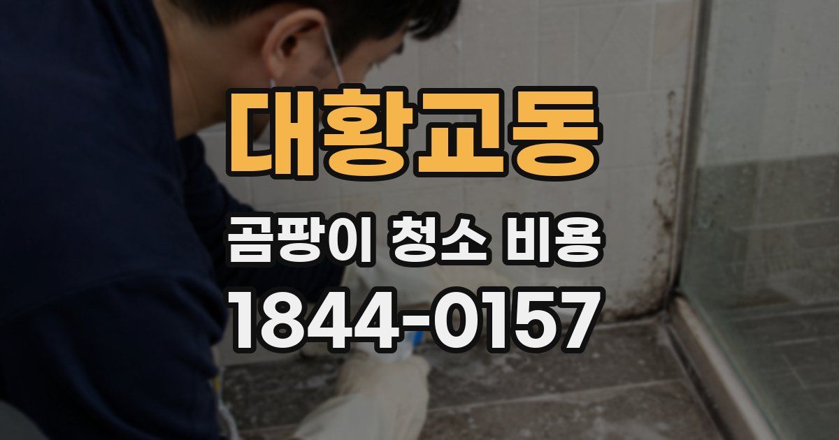 대황교동 곰팡이 청소 비용
