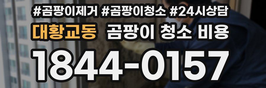 대황교동 곰팡이 청소 비용