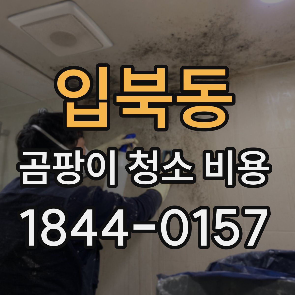 입북동 곰팡이 청소 비용