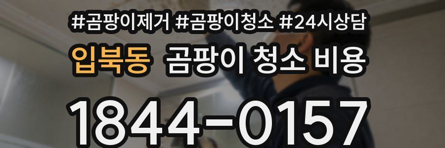 입북동 곰팡이 청소 비용