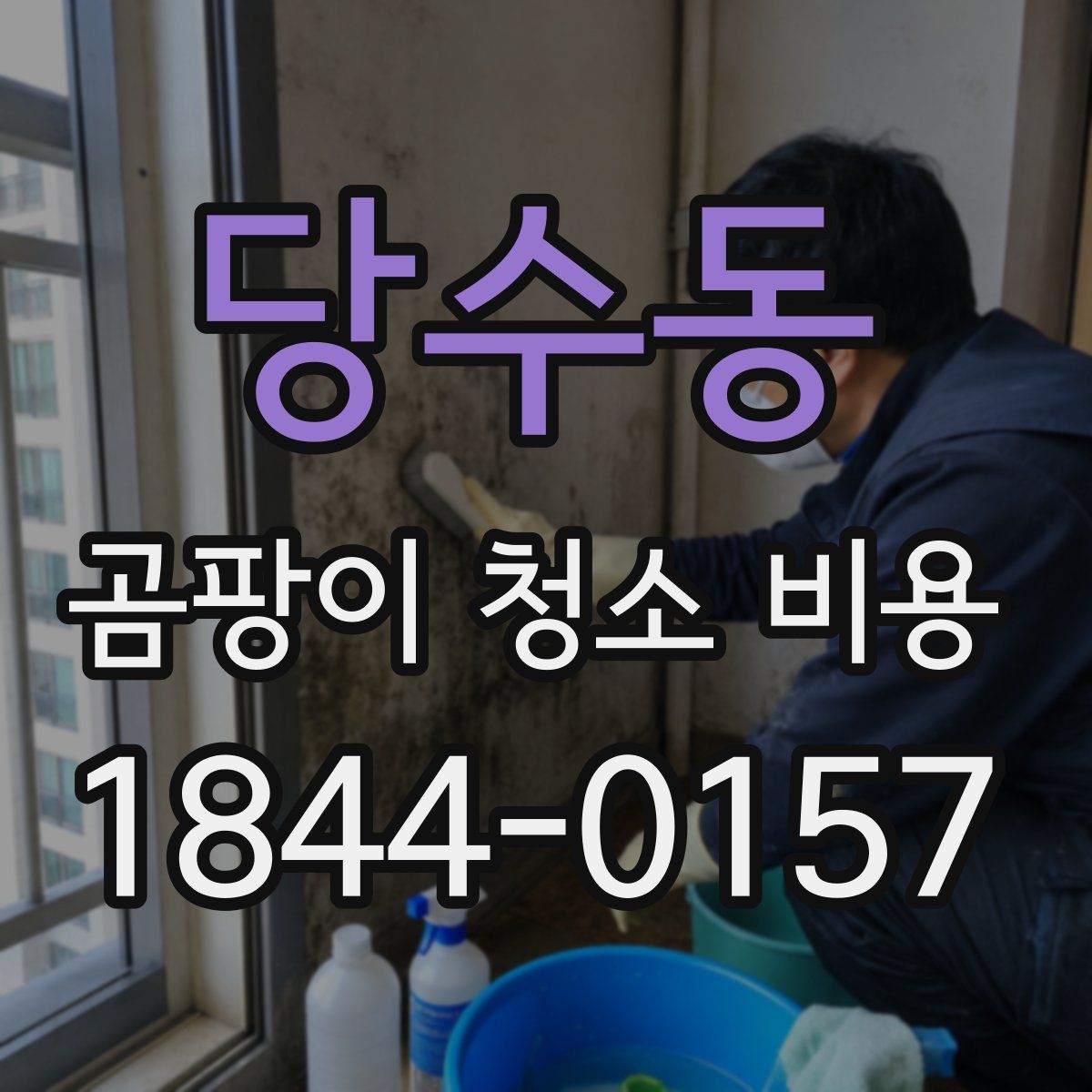 당수동 곰팡이 청소 비용