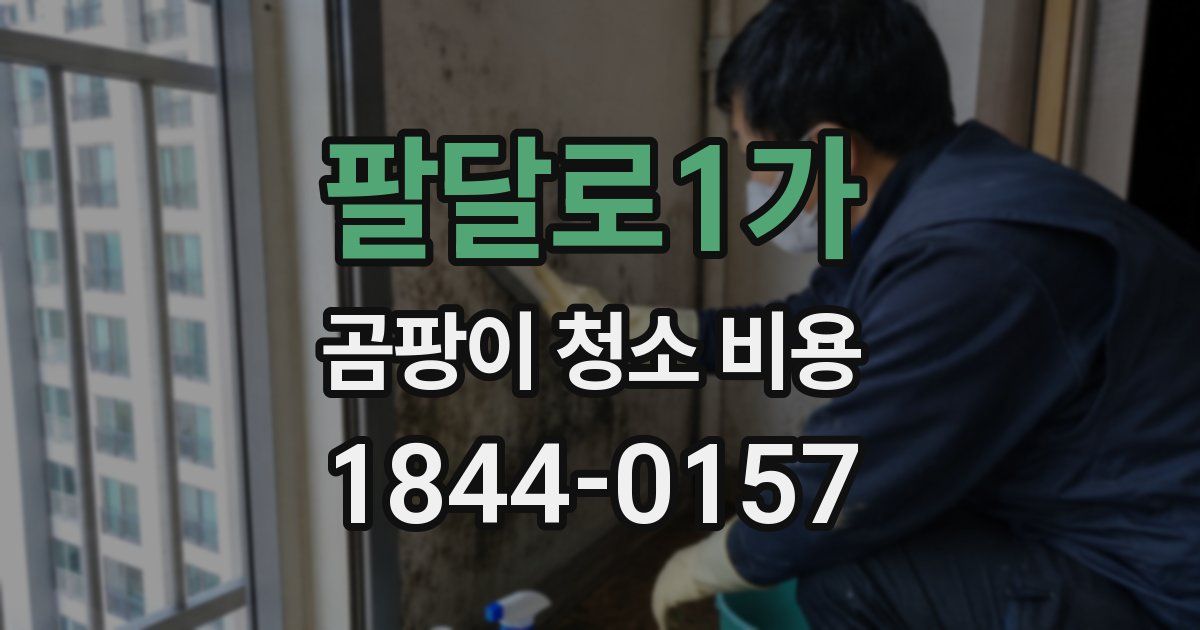 팔달로1가 곰팡이 청소 비용