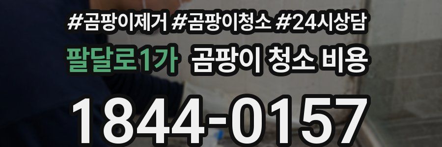 팔달로1가 곰팡이 청소 비용