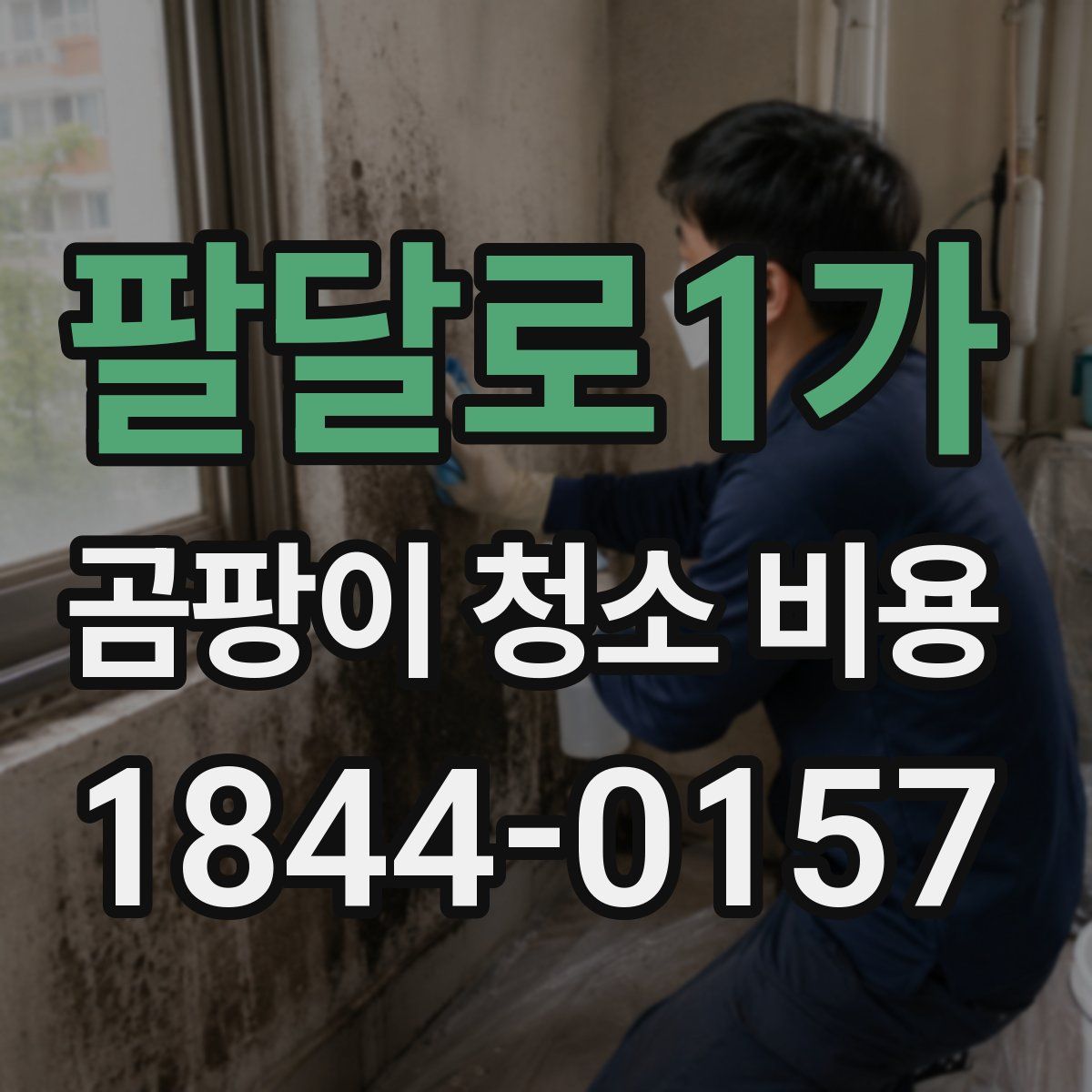 팔달로1가 곰팡이 청소 비용