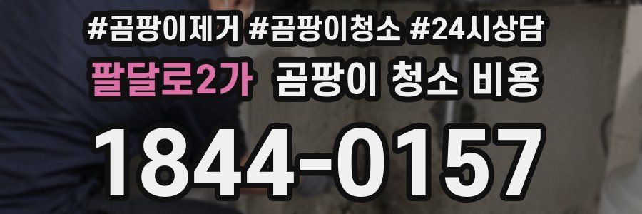 팔달로2가 곰팡이 청소 비용