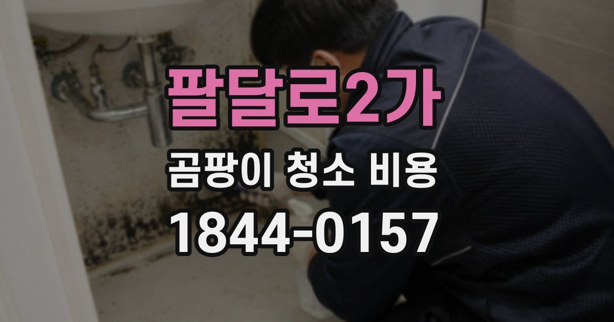 팔달로2가 곰팡이 청소 비용