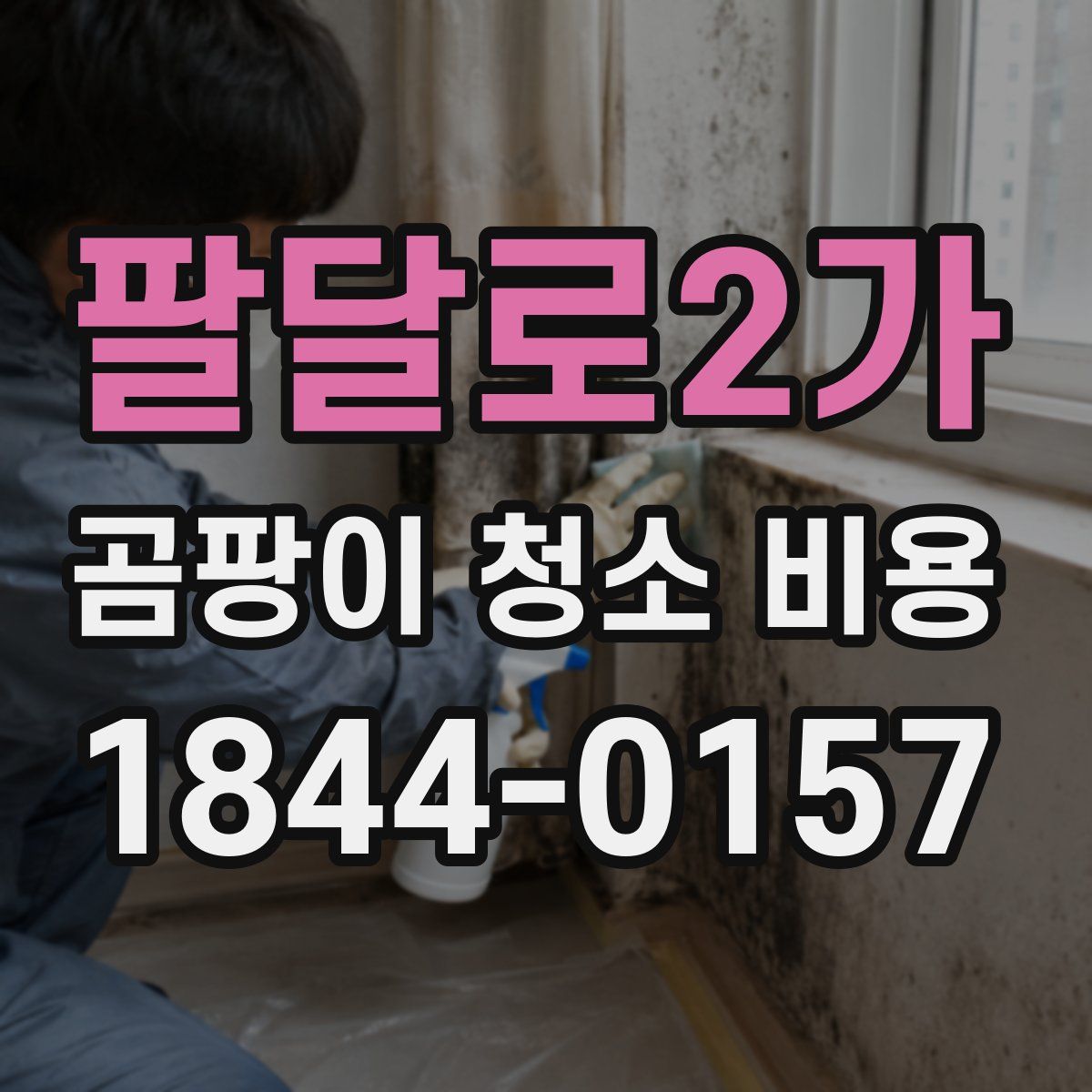 팔달로2가 곰팡이 청소 비용