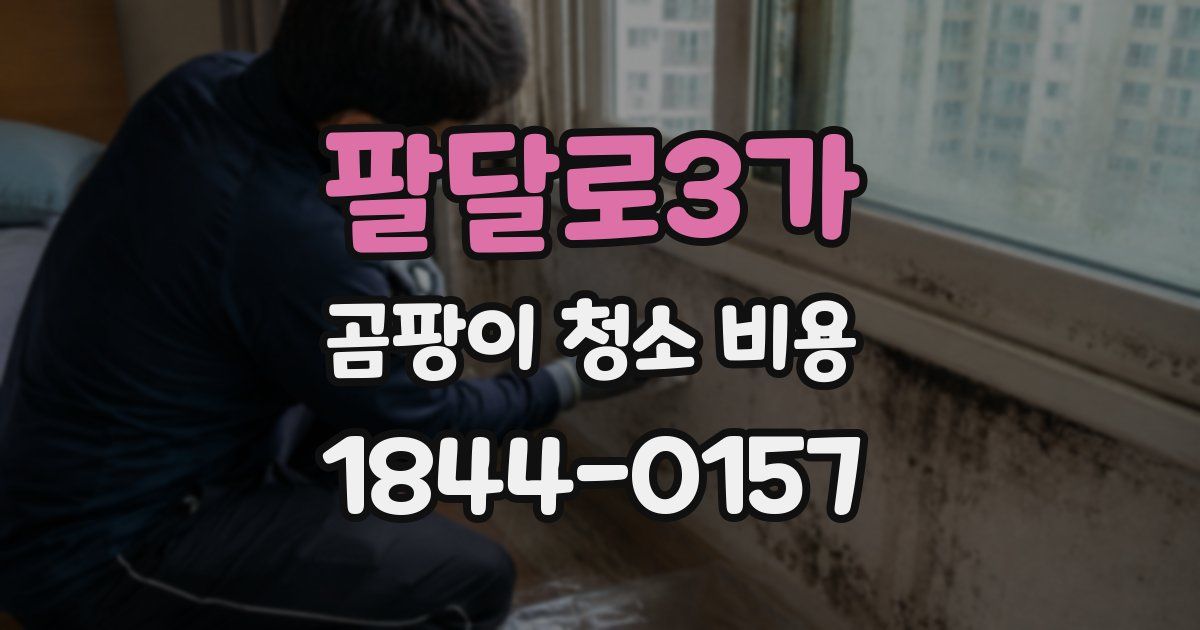 팔달로3가 곰팡이 청소 비용