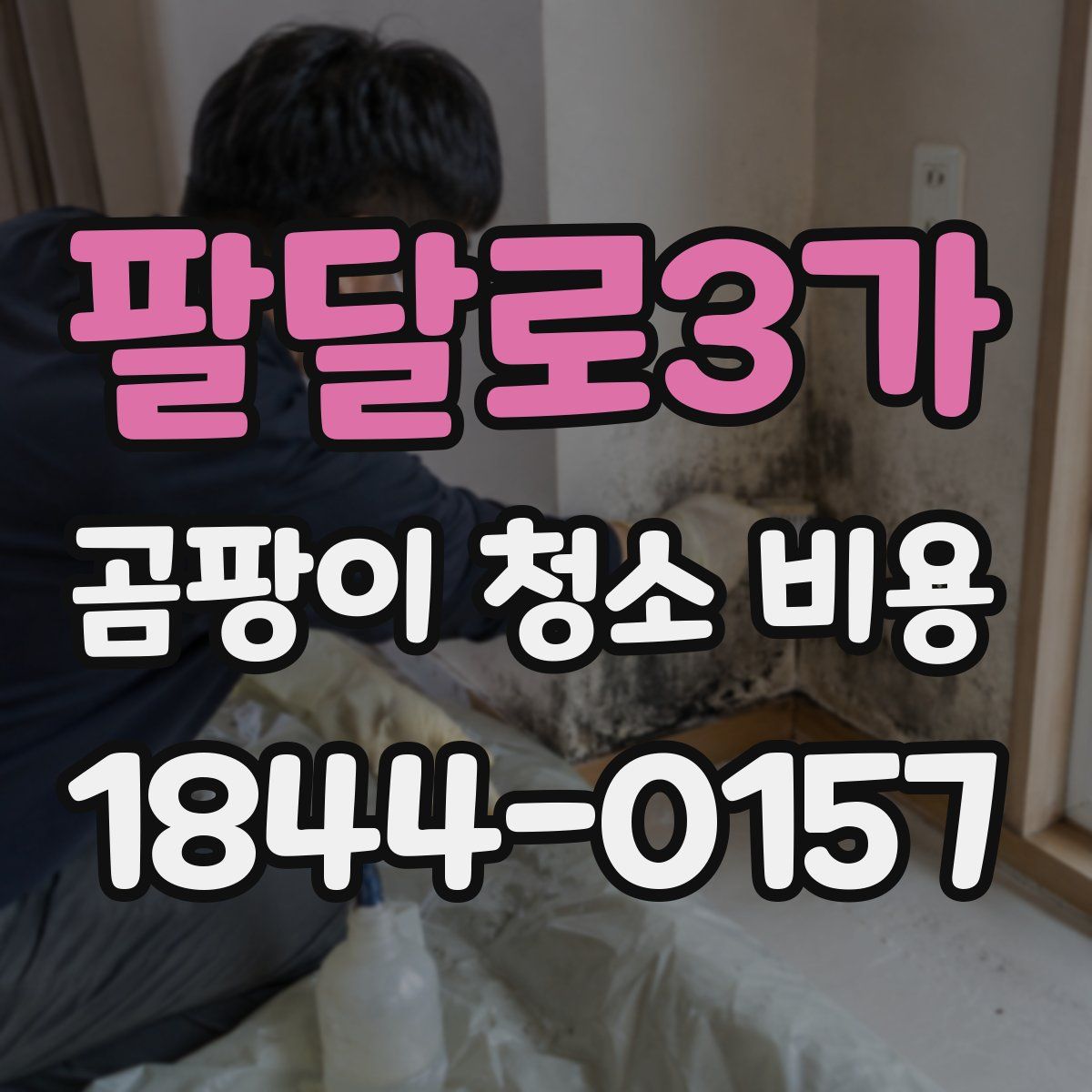 팔달로3가 곰팡이 청소 비용