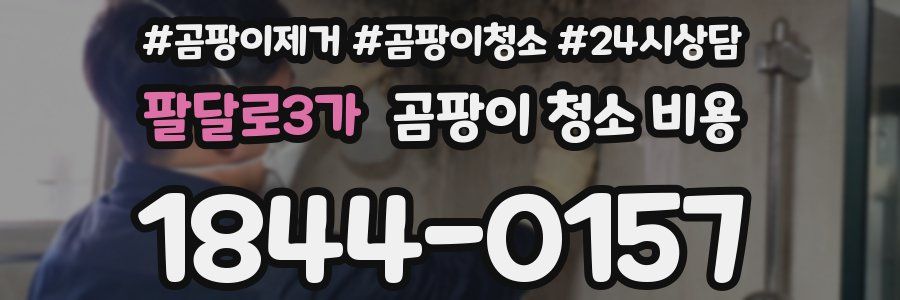 팔달로3가 곰팡이 청소 비용