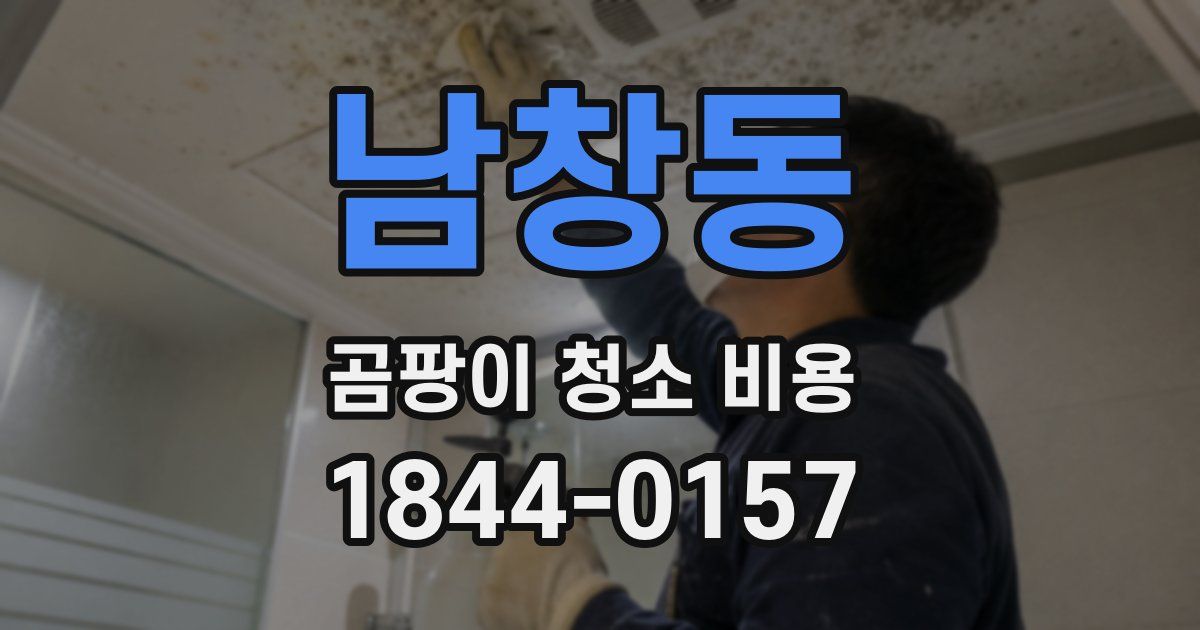 남창동 곰팡이 청소 비용