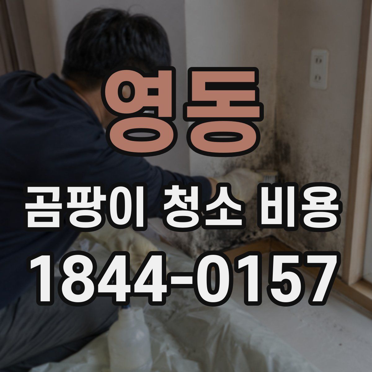 영동 곰팡이 청소 비용