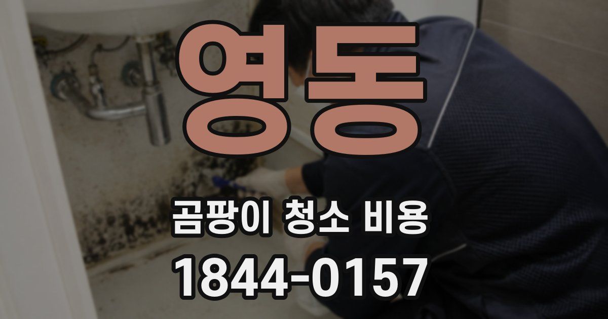 영동 곰팡이 청소 비용