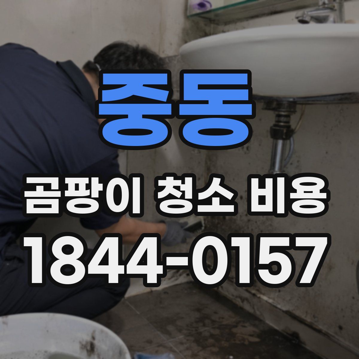 중동 곰팡이 청소 비용