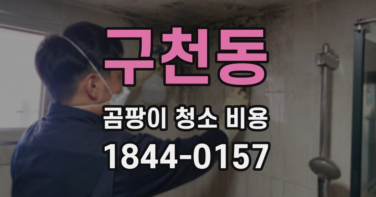 구천동 곰팡이 청소 비용