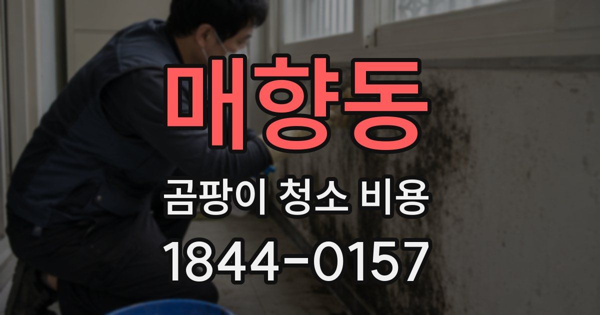 매향동 곰팡이 청소 비용