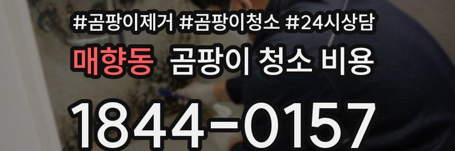 매향동 곰팡이 청소 비용