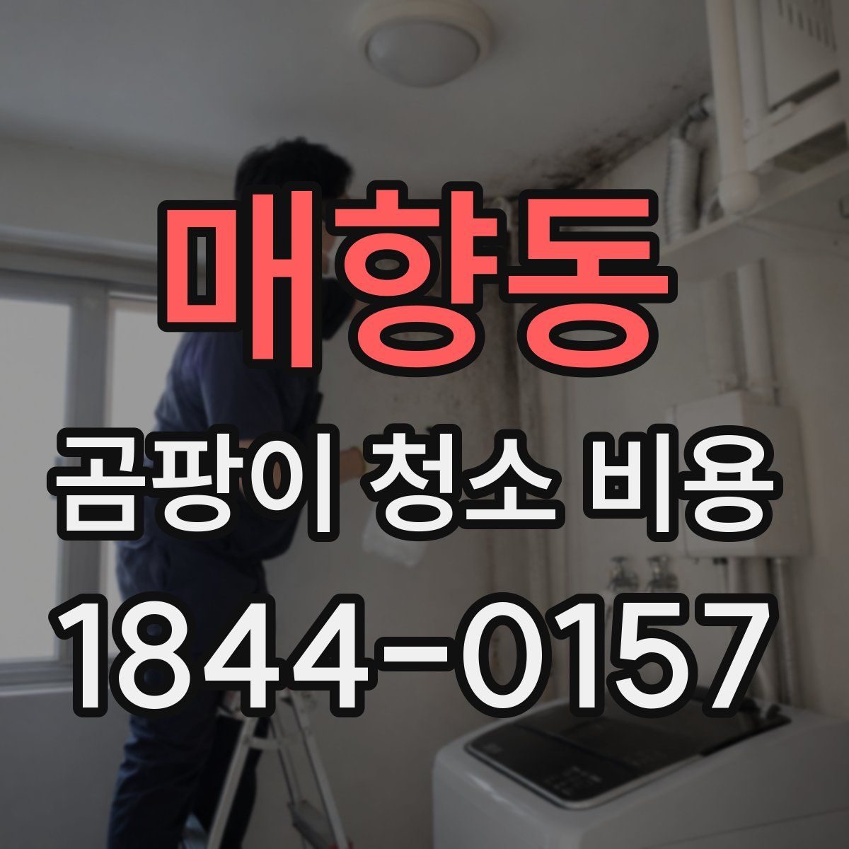 매향동 곰팡이 청소 비용