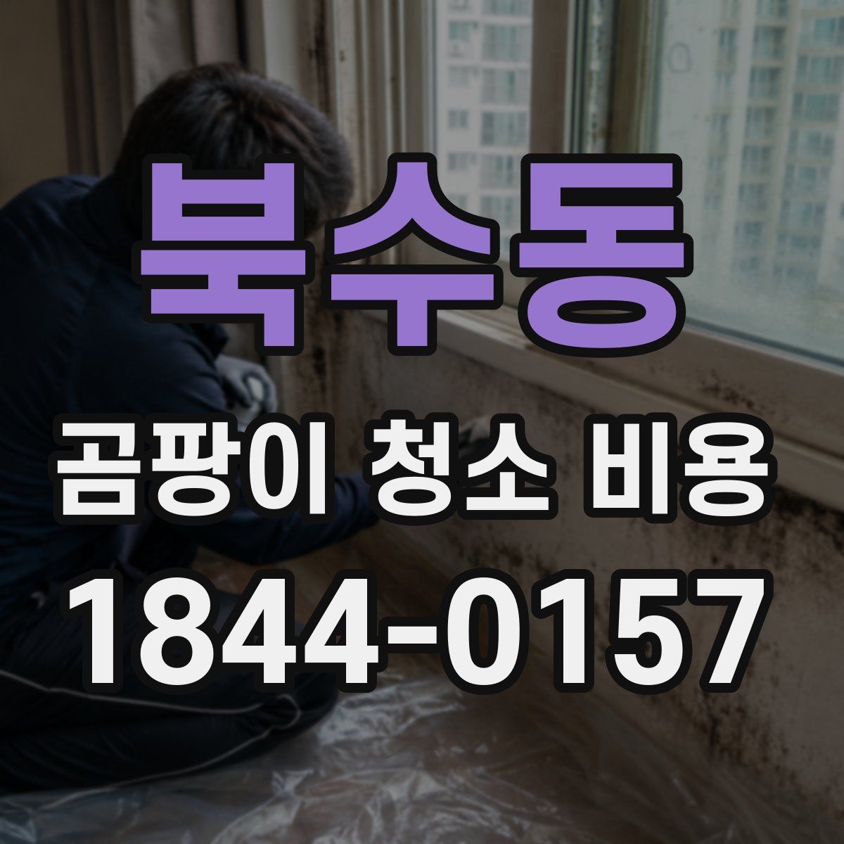 북수동 곰팡이 청소 비용