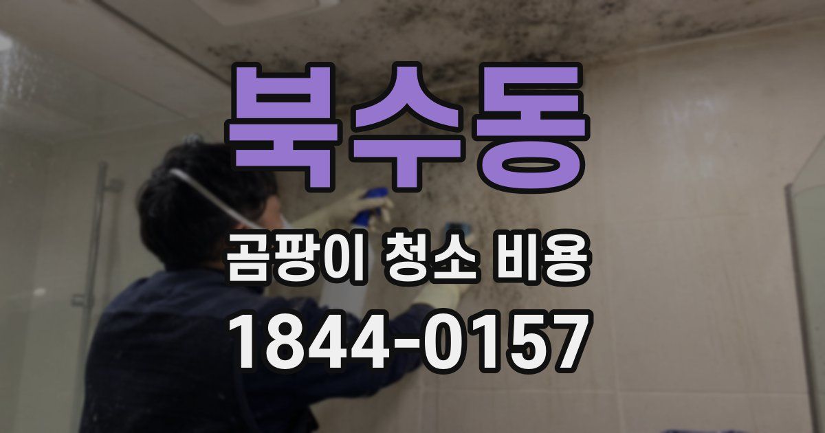북수동 곰팡이 청소 비용