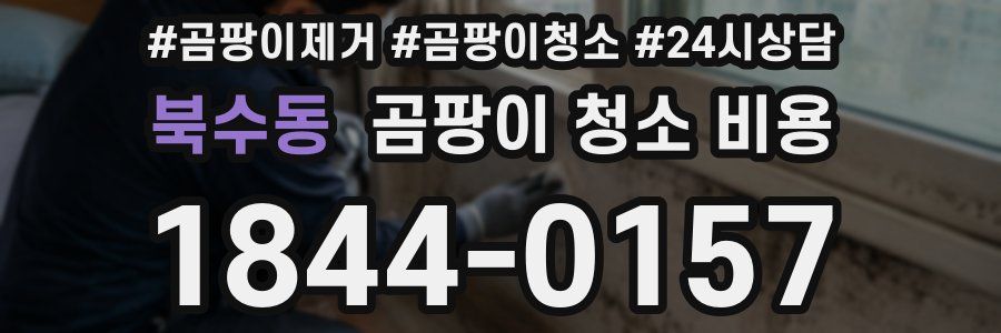 북수동 곰팡이 청소 비용