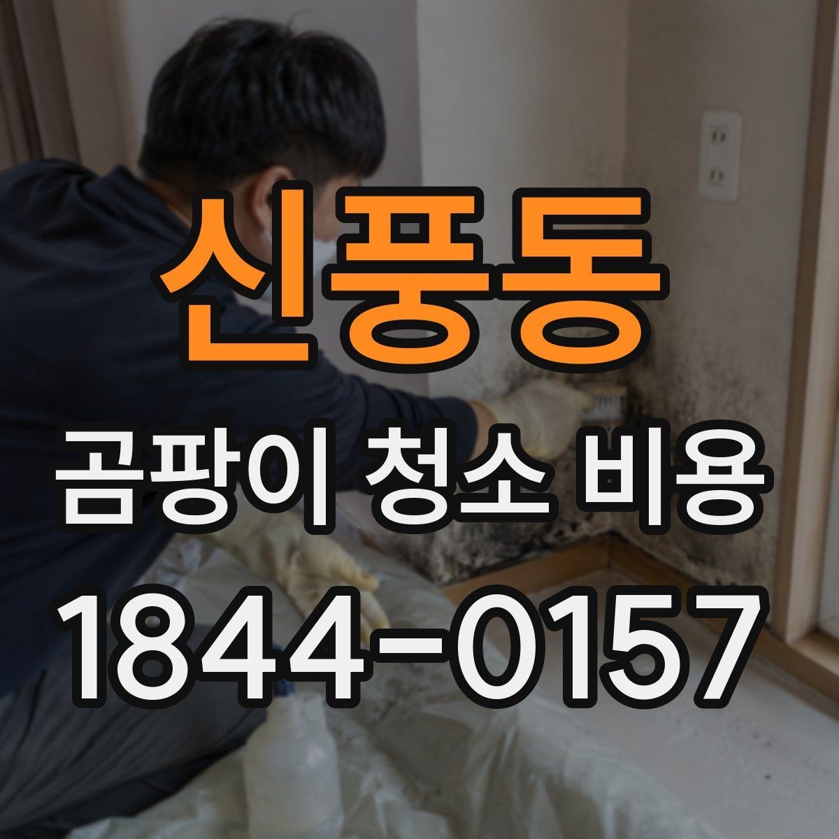 신풍동 곰팡이 청소 비용 침대 프레임과 매트 사이 오염 대응법