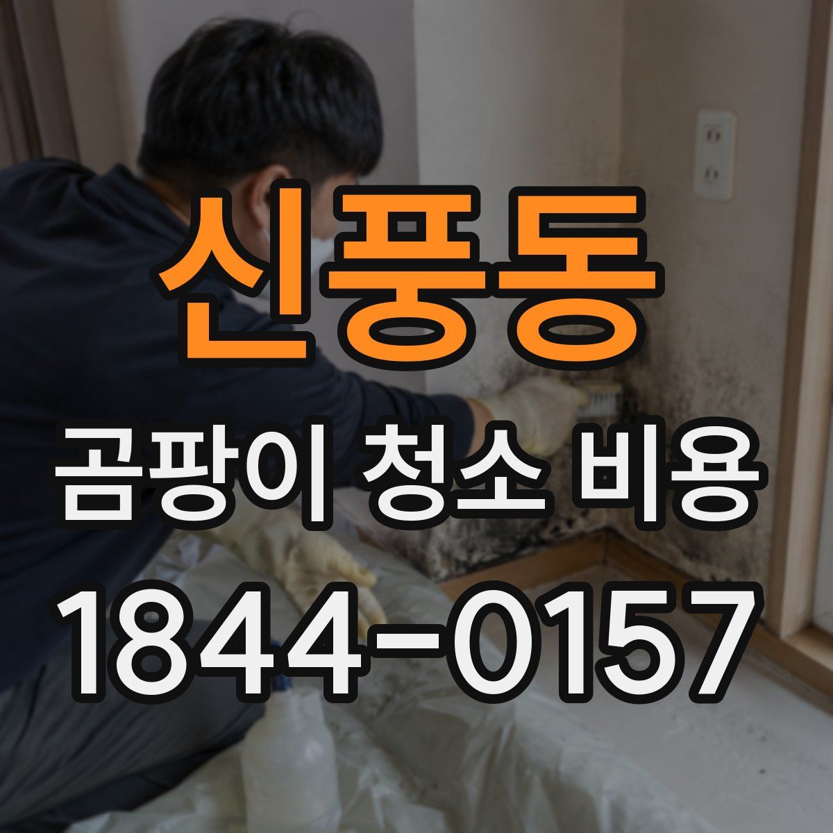 신풍동 곰팡이 청소 비용